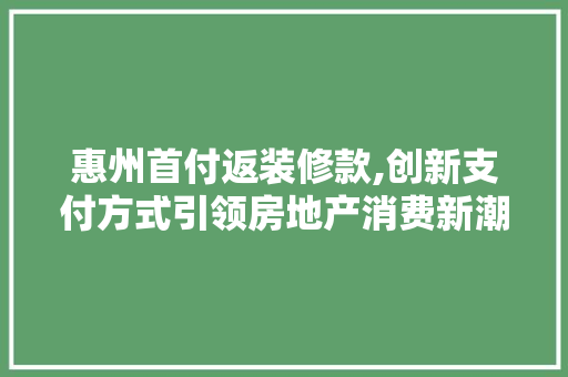 惠州首付返装修款,创新支付方式引领房地产消费新潮流 室内设计