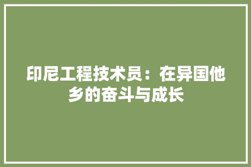 印尼工程技术员：在异国他乡的奋斗与成长 家居装修