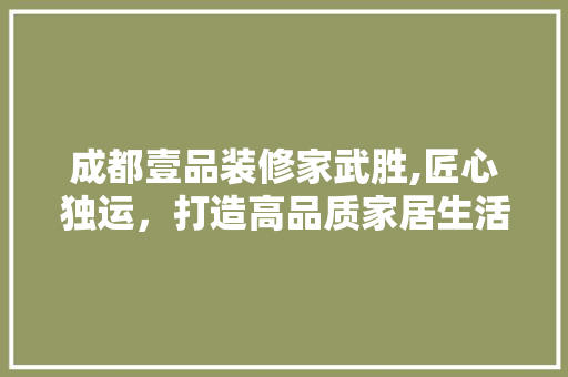成都壹品装修家武胜,匠心独运，打造高品质家居生活 现代风格装饰