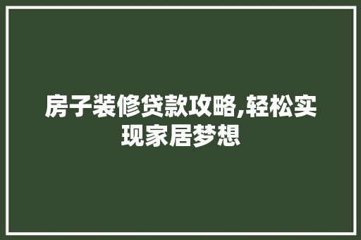 房子装修贷款攻略,轻松实现家居梦想 地板材料