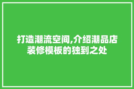 打造潮流空间,介绍潮品店装修模板的独到之处 软装设计