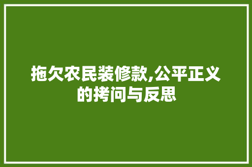 拖欠农民装修款,公平正义的拷问与反思