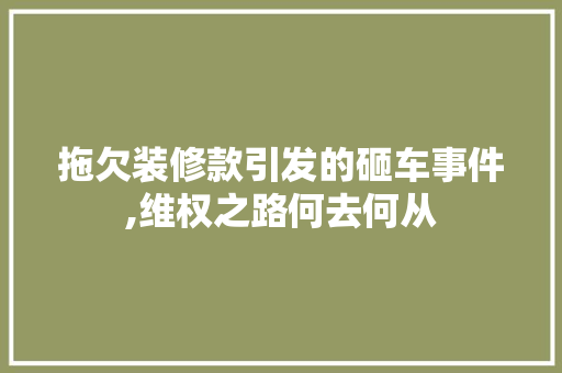 拖欠装修款引发的砸车事件,维权之路何去何从 木雕艺术