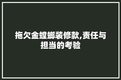 拖欠金螳螂装修款,责任与担当的考验 中式风格装饰