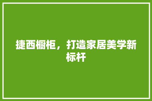 捷西橱柜，打造家居美学新标杆 软装设计