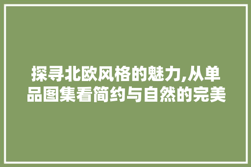 探寻北欧风格的魅力,从单品图集看简约与自然的完美融合 室内设计