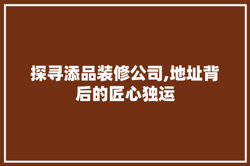 探寻添品装修公司,地址背后的匠心独运 现代风格装饰