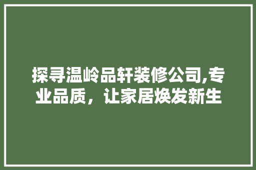 探寻温岭品轩装修公司,专业品质，让家居焕发新生 现代风格装饰