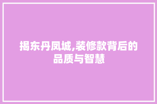 揭东丹凤城,装修款背后的品质与智慧