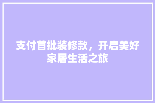 支付首批装修款，开启美好家居生活之旅 地板材料