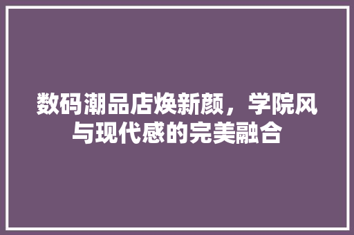 数码潮品店焕新颜，学院风与现代感的完美融合 木雕艺术