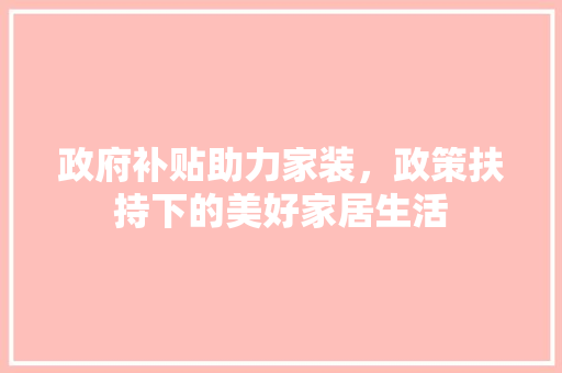 政府补贴助力家装，政策扶持下的美好家居生活 软装设计