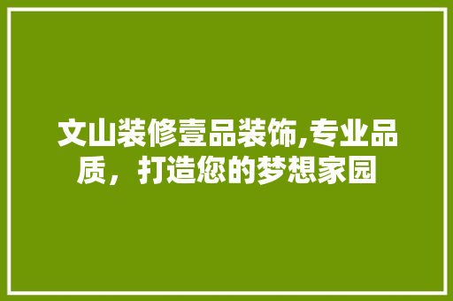 文山装修壹品装饰,专业品质，打造您的梦想家园 现代风格装饰