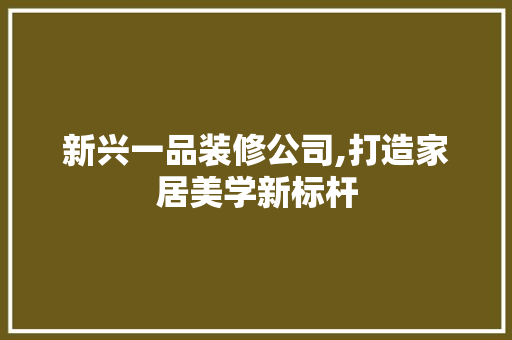 新兴一品装修公司,打造家居美学新标杆
