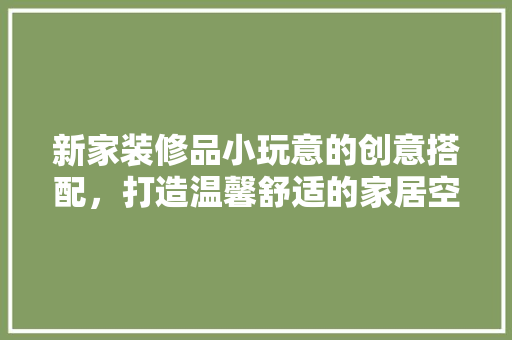 新家装修品小玩意的创意搭配，打造温馨舒适的家居空间 现代风格装饰