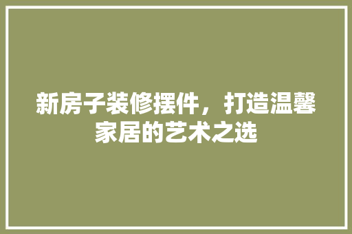 新房子装修摆件，打造温馨家居的艺术之选 软装设计