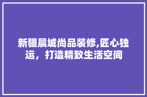 新疆晨城尚品装修,匠心独运，打造精致生活空间 现代风格装饰