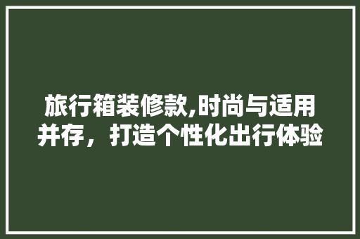旅行箱装修款,时尚与适用并存，打造个性化出行体验 软装设计