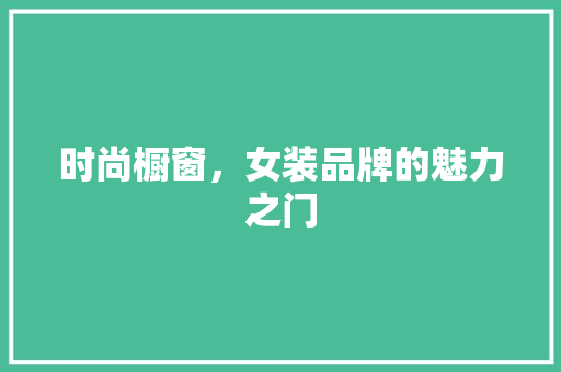 时尚橱窗，女装品牌的魅力之门