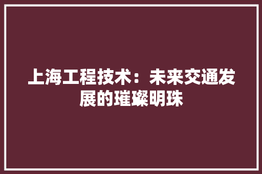 上海工程技术：未来交通发展的璀璨明珠 软装设计
