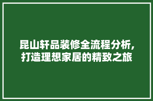 昆山轩品装修全流程分析,打造理想家居的精致之旅 木雕艺术