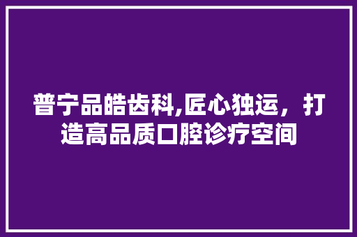 普宁品皓齿科,匠心独运，打造高品质口腔诊疗空间