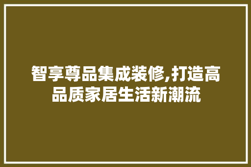 智享尊品集成装修,打造高品质家居生活新潮流 软装设计