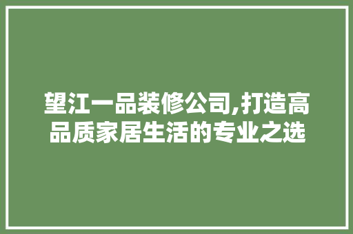 望江一品装修公司,打造高品质家居生活的专业之选 现代风格装饰