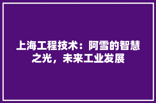上海工程技术：阿雪的智慧之光，未来工业发展