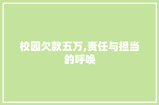 校园欠款五万,责任与担当的呼唤