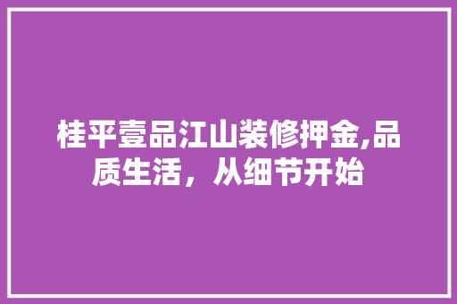 桂平壹品江山装修押金,品质生活，从细节开始 软装设计