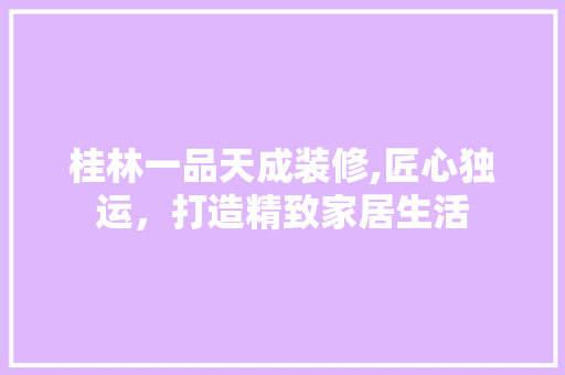 桂林一品天成装修,匠心独运，打造精致家居生活 室内设计