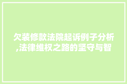欠装修款法院起诉例子分析,法律维权之路的坚守与智慧