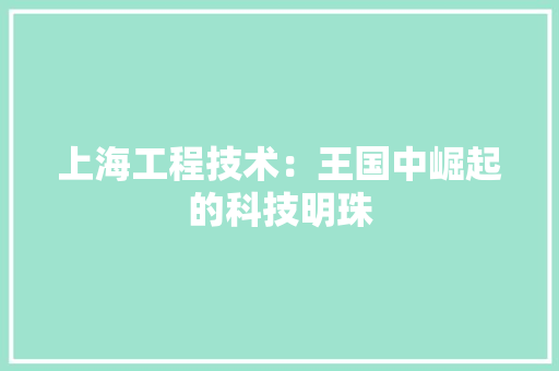 上海工程技术：王国中崛起的科技明珠 软装设计