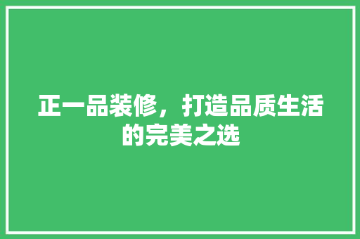 正一品装修，打造品质生活的完美之选 木雕艺术