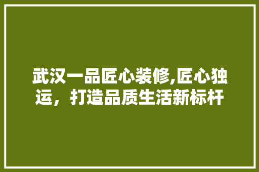 武汉一品匠心装修,匠心独运，打造品质生活新标杆 现代风格装饰