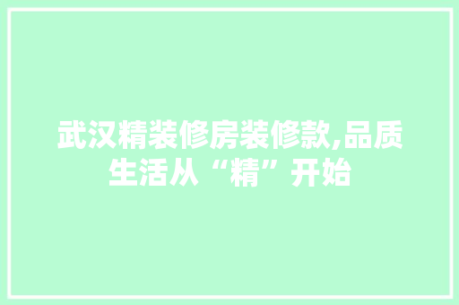 武汉精装修房装修款,品质生活从“精”开始