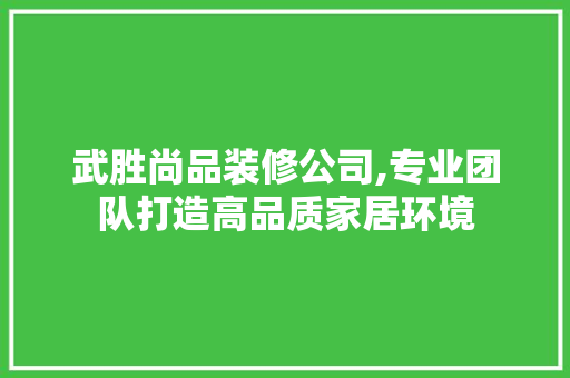 武胜尚品装修公司,专业团队打造高品质家居环境