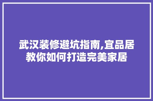 武汉装修避坑指南,宜品居教你如何打造完美家居 客厅装修