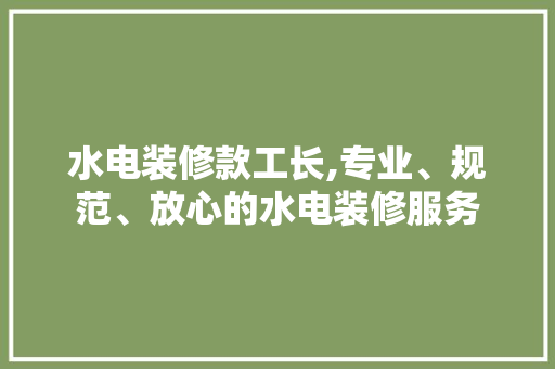 水电装修款工长,专业、规范、放心的水电装修服务