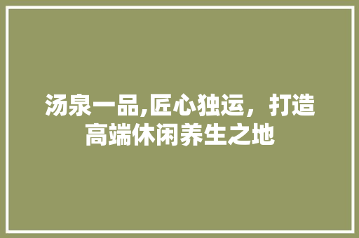 汤泉一品,匠心独运，打造高端休闲养生之地
