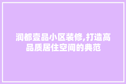 润都壹品小区装修,打造高品质居住空间的典范 家居装修