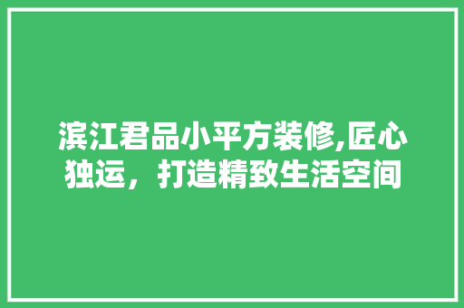 滨江君品小平方装修,匠心独运，打造精致生活空间 软装设计