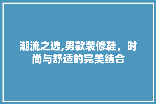 潮流之选,男款装修鞋，时尚与舒适的完美结合 软装设计