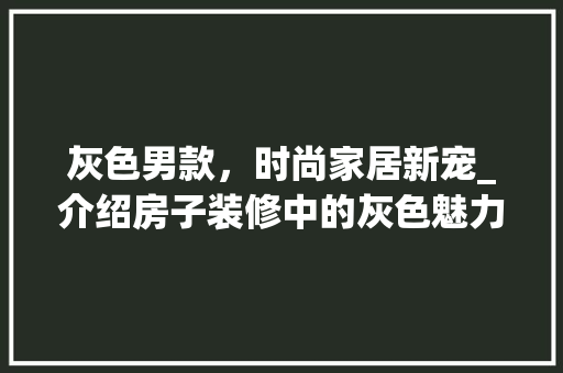灰色男款，时尚家居新宠_介绍房子装修中的灰色魅力 室内设计