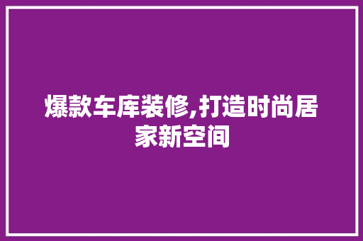 爆款车库装修,打造时尚居家新空间 现代风格装饰
