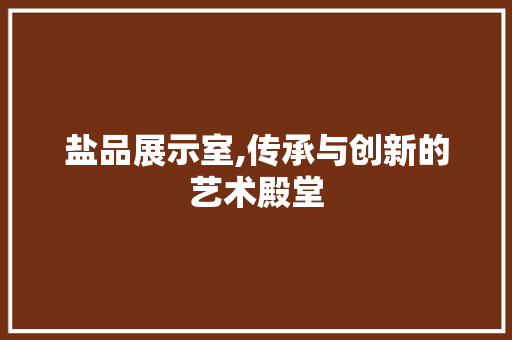 盐品展示室,传承与创新的艺术殿堂 地板材料