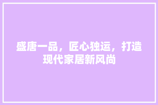 盛唐一品，匠心独运，打造现代家居新风尚 现代风格装饰