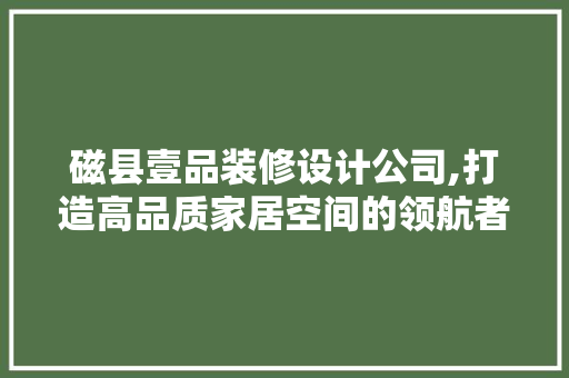 磁县壹品装修设计公司,打造高品质家居空间的领航者 客厅装修