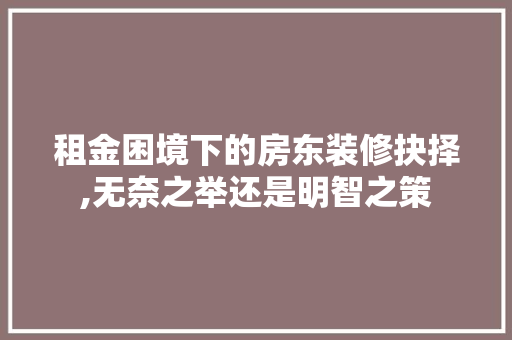 租金困境下的房东装修抉择,无奈之举还是明智之策